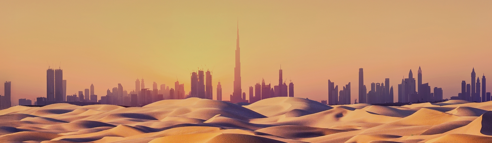 SEO Trends in Dubai